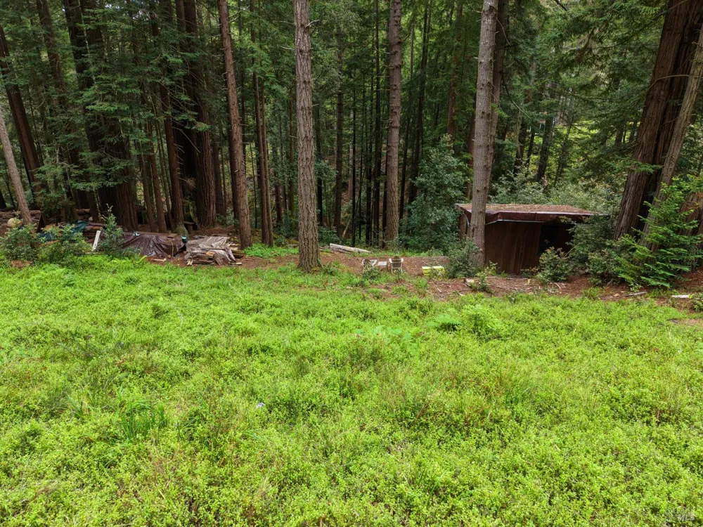 22051 Rust Drive Timber Cove, CA 95450