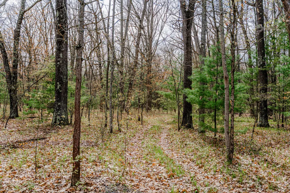 3878 W Wildwood Avenue Merrill Township, MI 49309