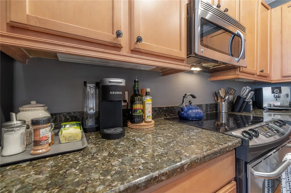 111 S PACKWOOD AVENUE #C Tampa, FL 33606