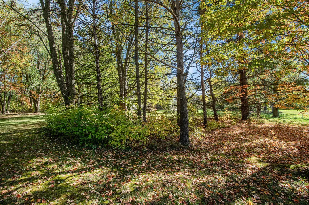 5258 92nd Street SE Caledonia Township, MI 49316
