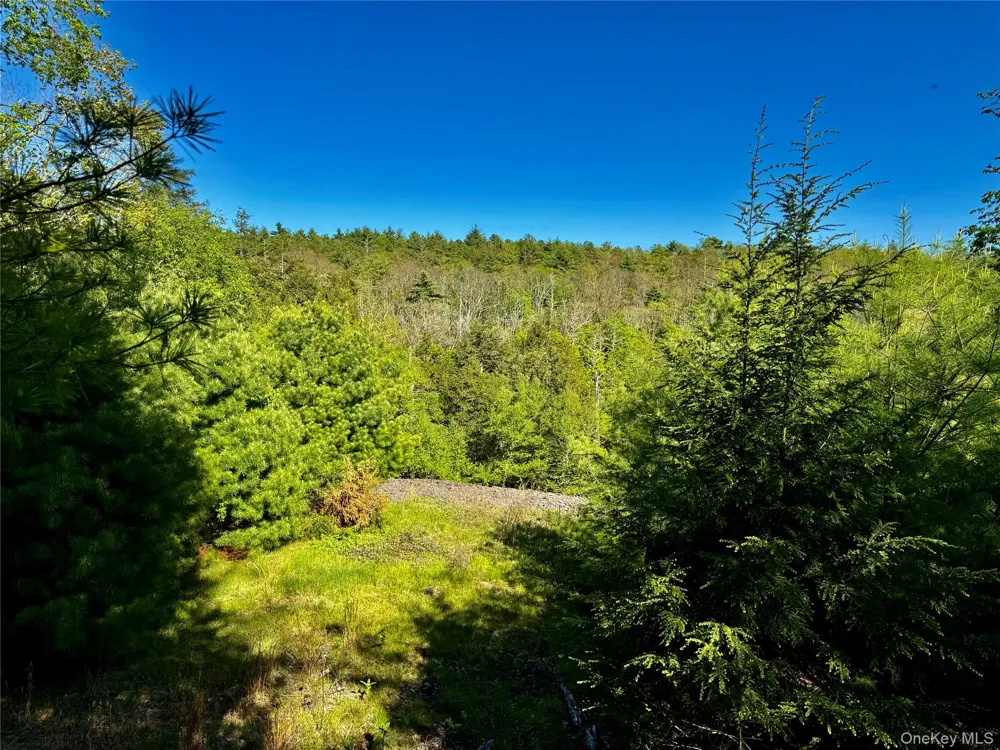 101 Stone Road Hurley, NY 12491