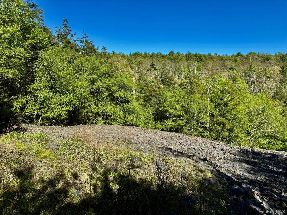 101 Stone Road Hurley, NY 12491