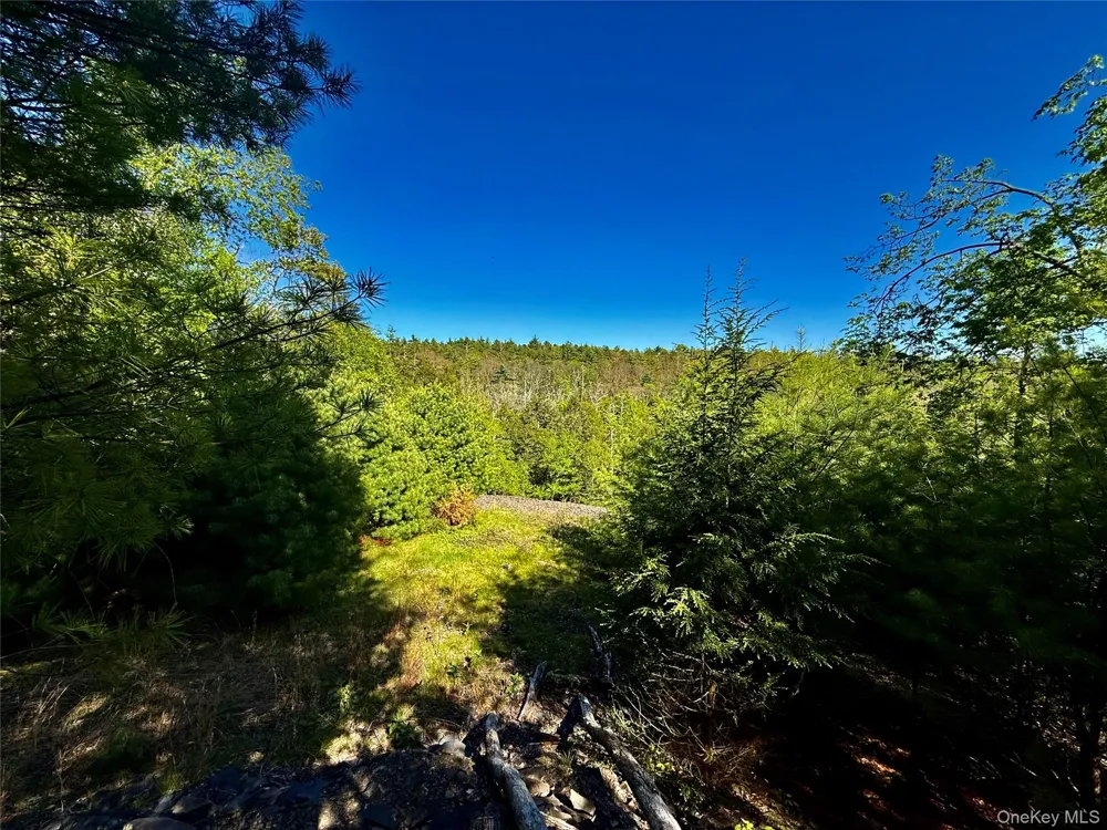 101 Stone Road Hurley, NY 12491