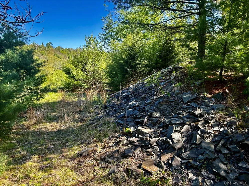 101 Stone Road Hurley, NY 12491