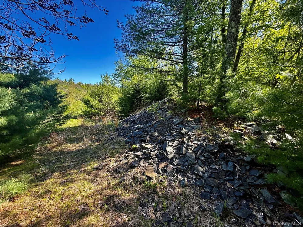 101 Stone Road Hurley, NY 12491