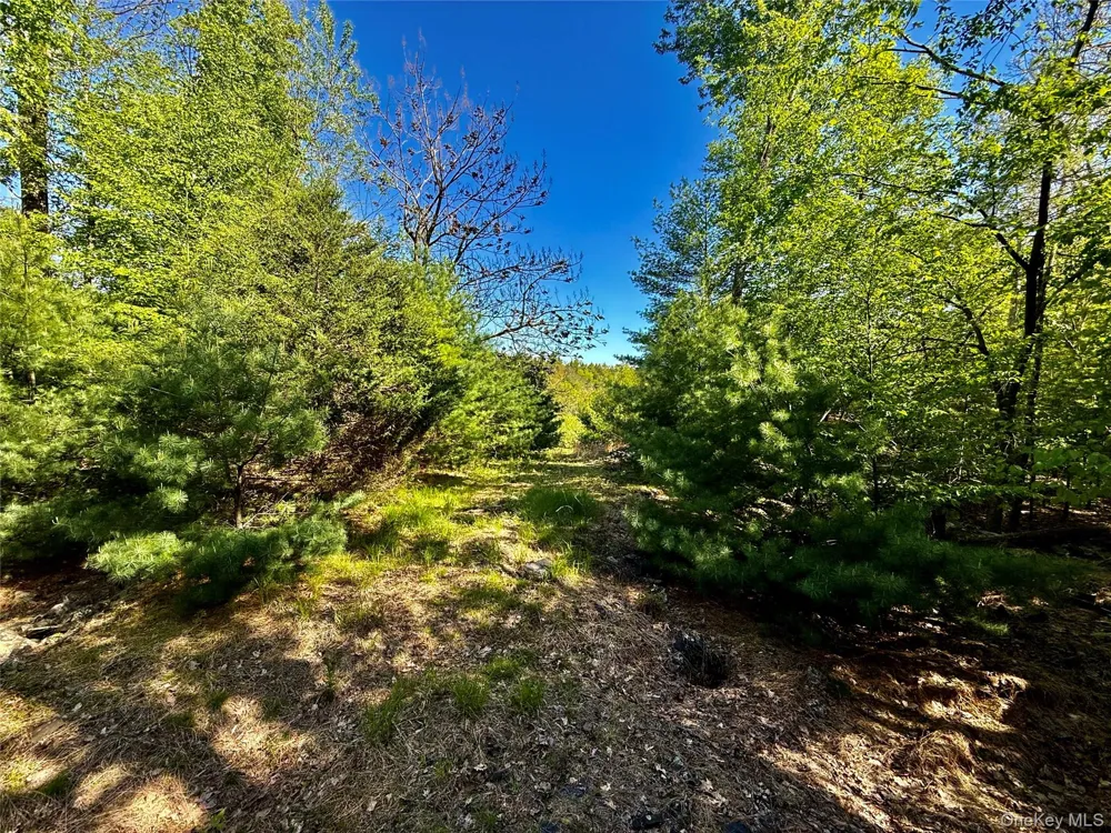 101 Stone Road Hurley, NY 12491