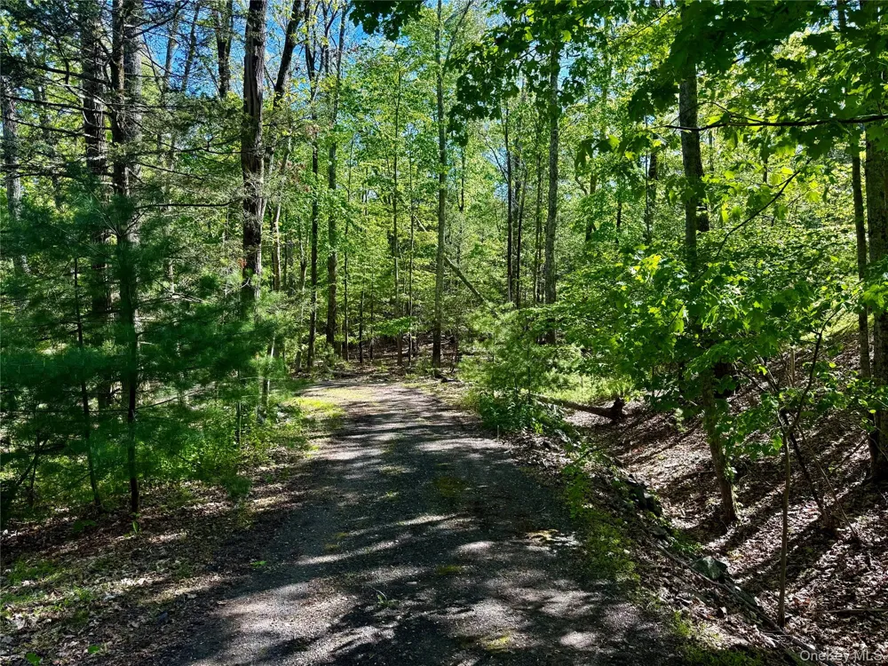 101 Stone Road Hurley, NY 12491