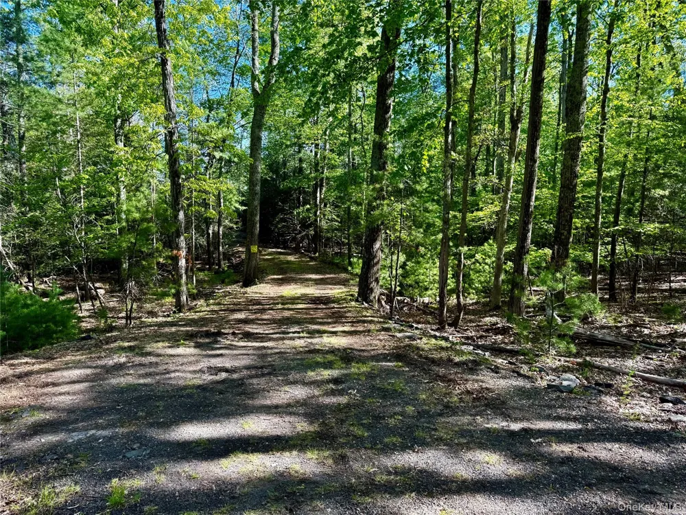 101 Stone Road Hurley, NY 12491