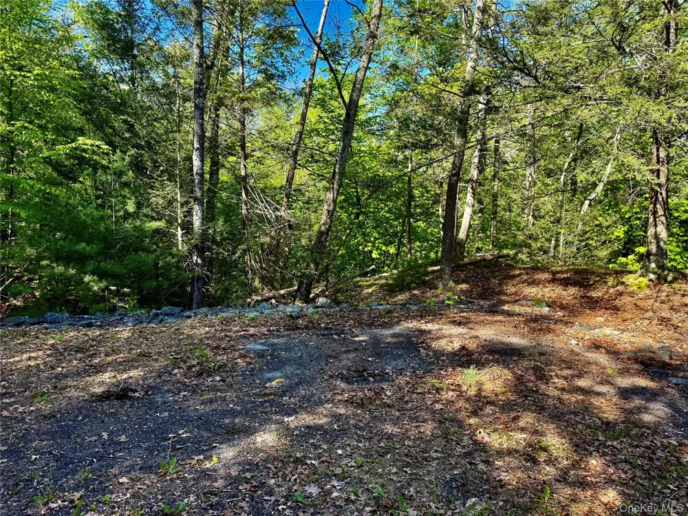 101 Stone Road Hurley, NY 12491