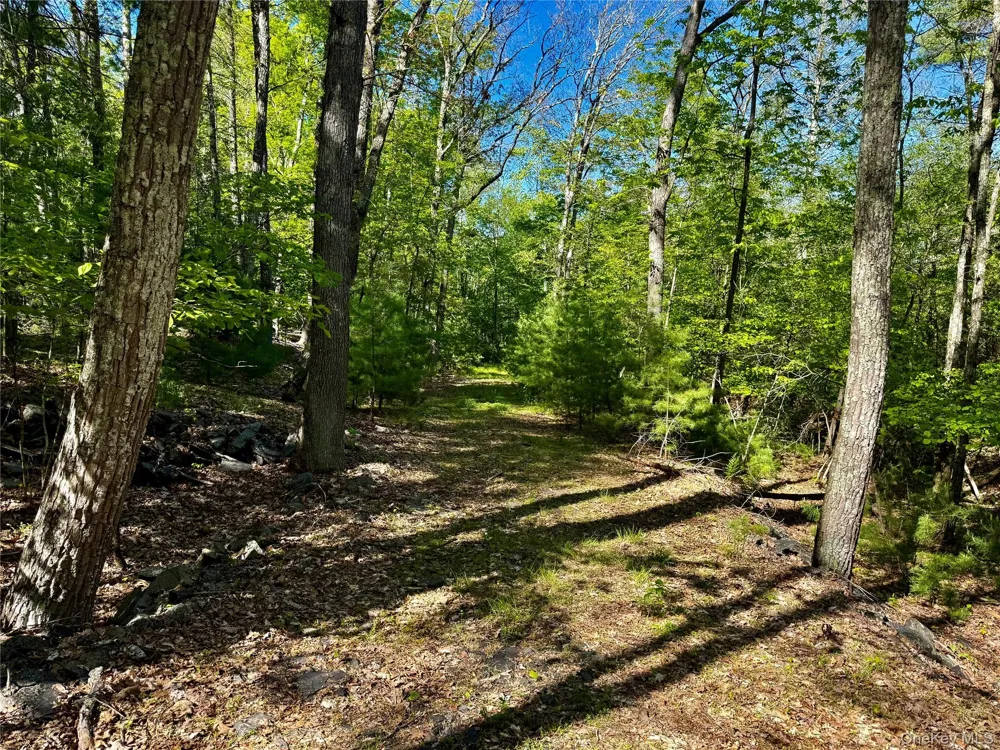 101 Stone Road Hurley, NY 12491
