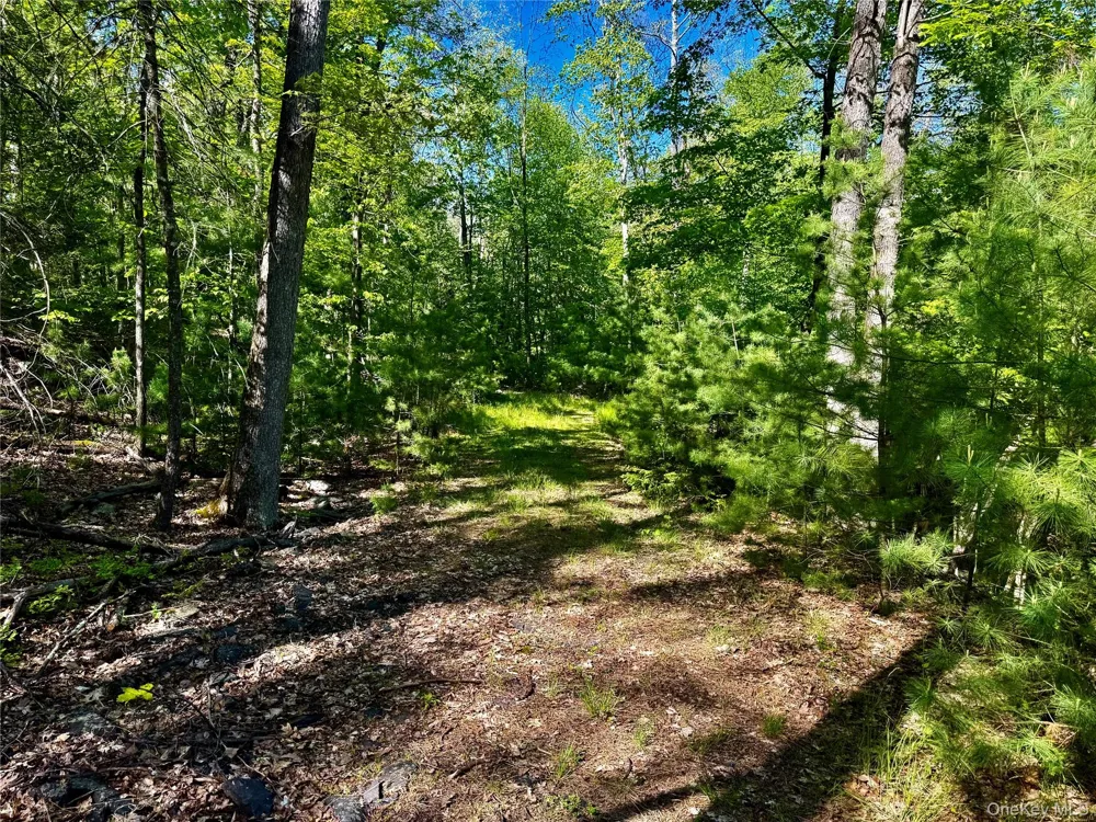 101 Stone Road Hurley, NY 12491