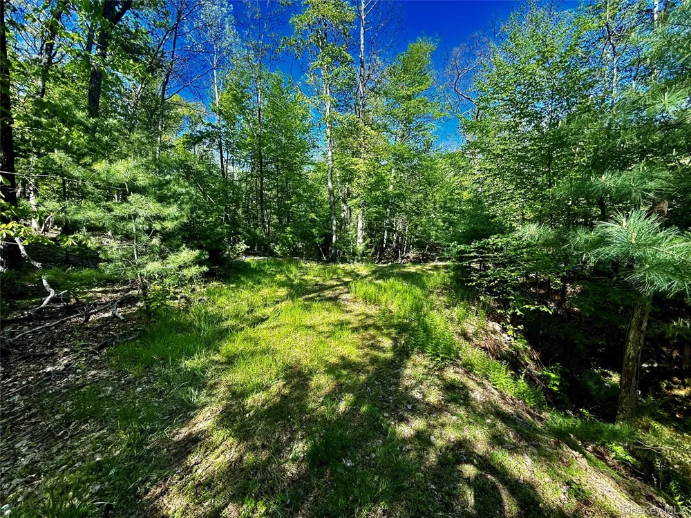 101 Stone Road Hurley, NY 12491