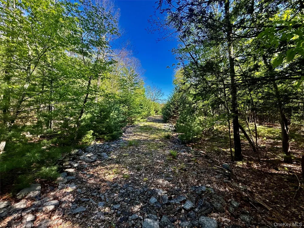 101 Stone Road Hurley, NY 12491