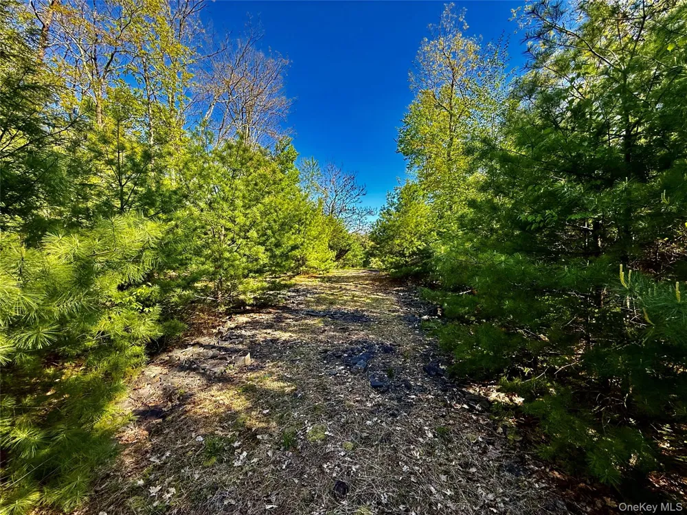 101 Stone Road Hurley, NY 12491