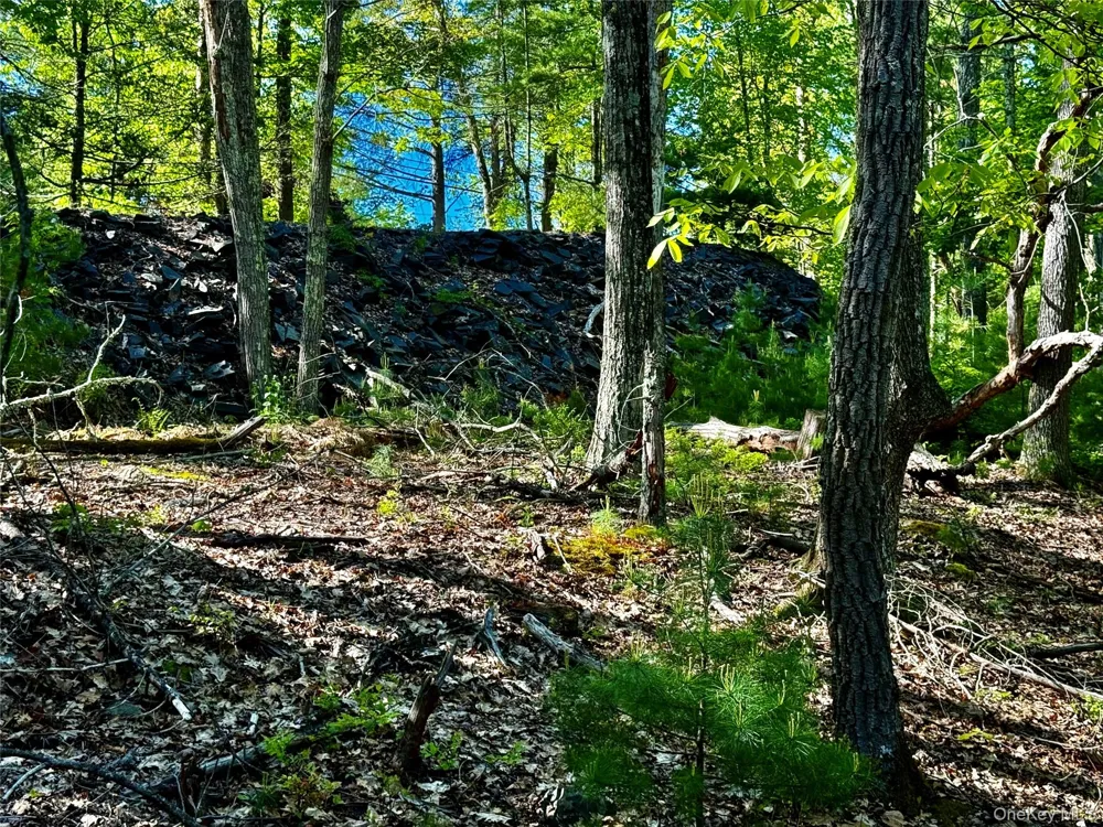101 Stone Road Hurley, NY 12491