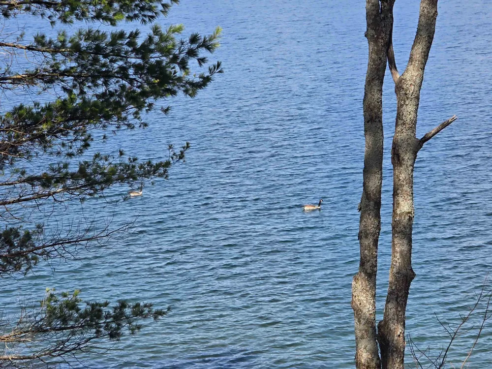 9269 Gedman Road Blue Lake Township, MI 49659