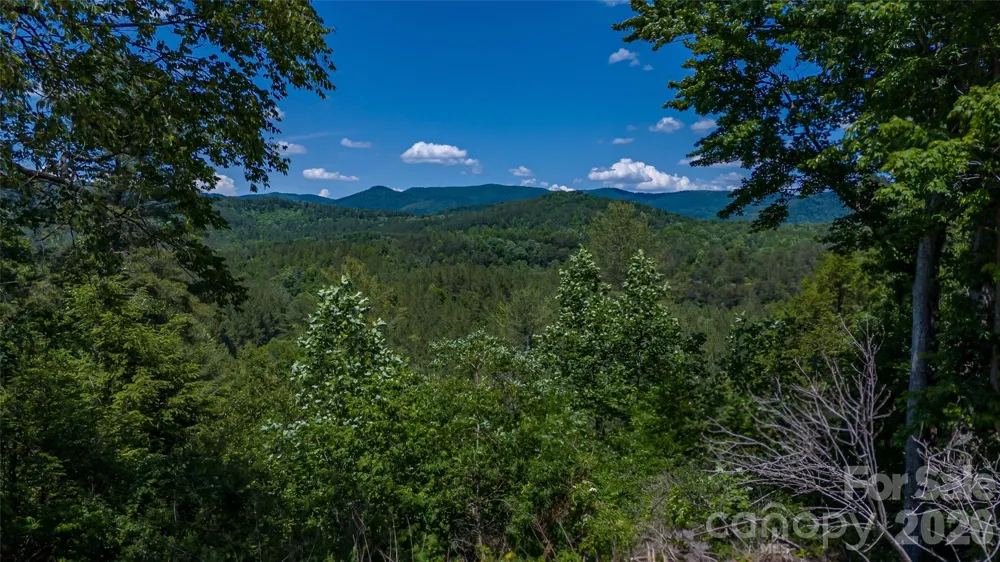 1542 Hwy 226 Highway Casar, NC 28020