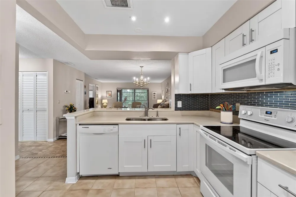 319 KNOTTWOOD COURT #2 Sun City Center, FL 33573