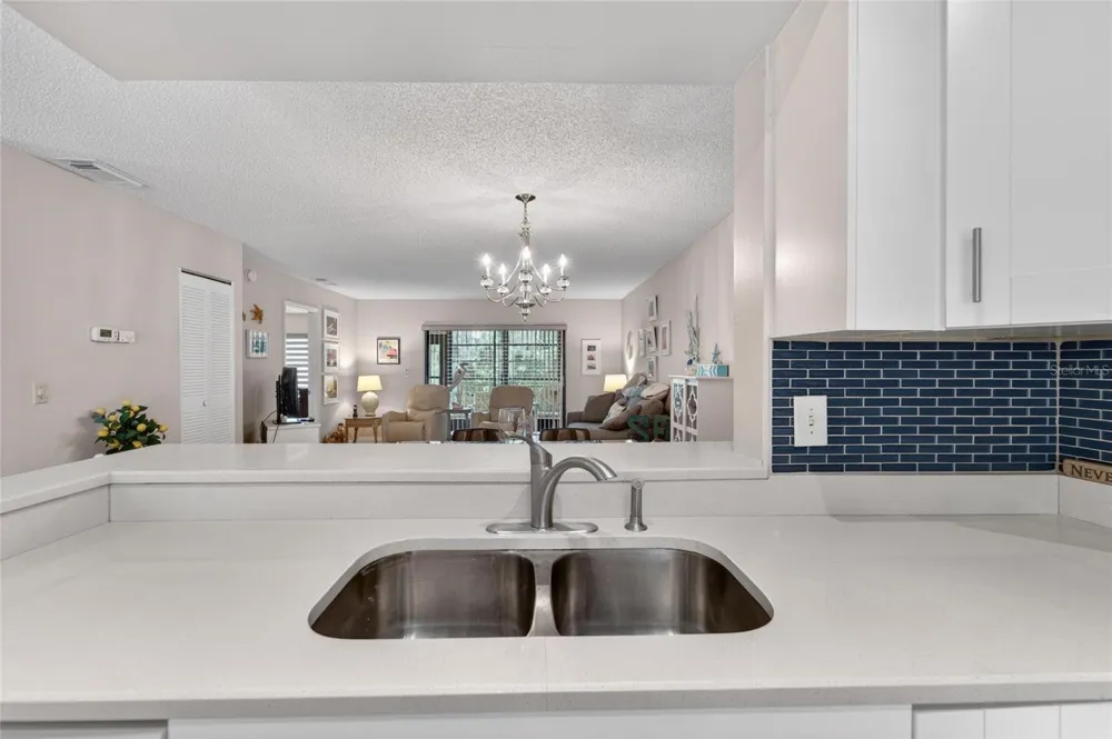 319 KNOTTWOOD COURT #2 Sun City Center, FL 33573