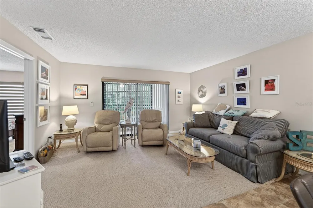319 KNOTTWOOD COURT #2 Sun City Center, FL 33573