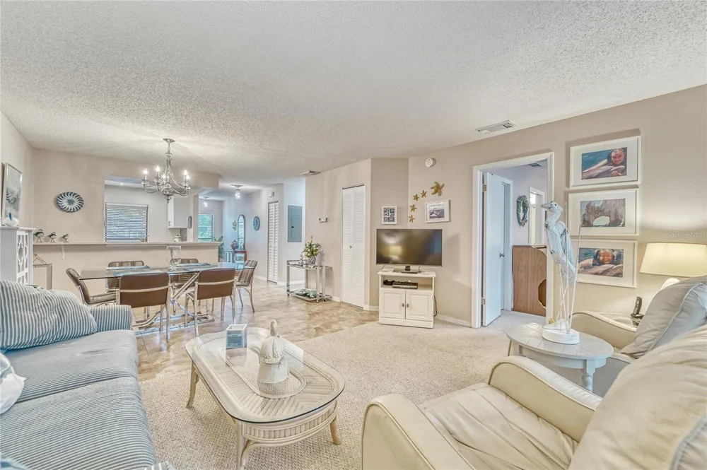 319 KNOTTWOOD COURT #2 Sun City Center, FL 33573
