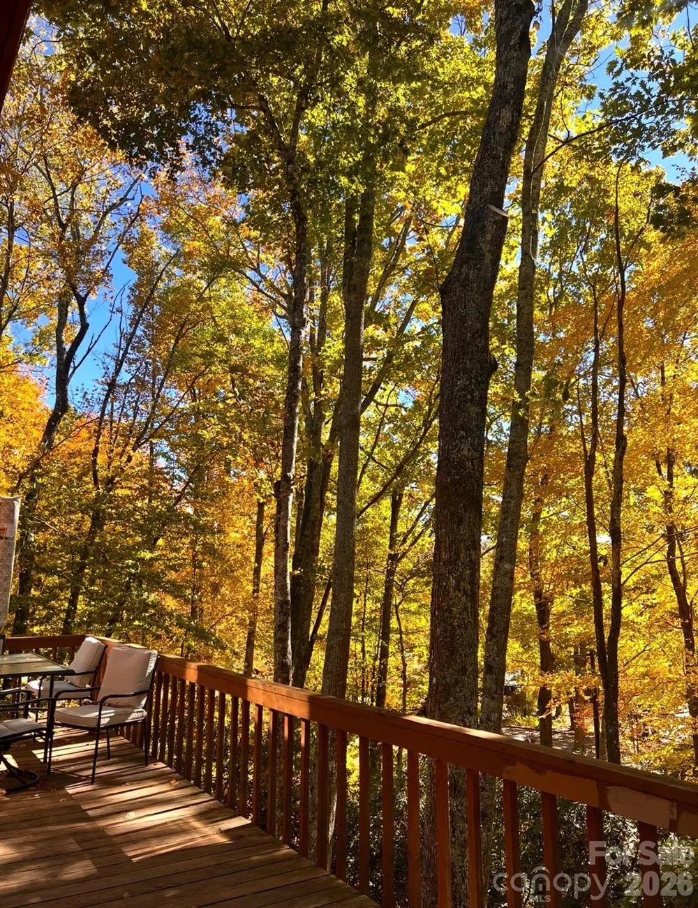 89 Woodcliff Loop Newland, NC 28657