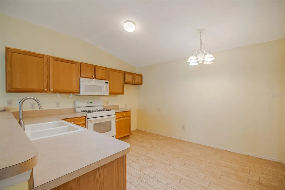 2454 SOUTHERN OAK STREET The Villages, FL 32162
