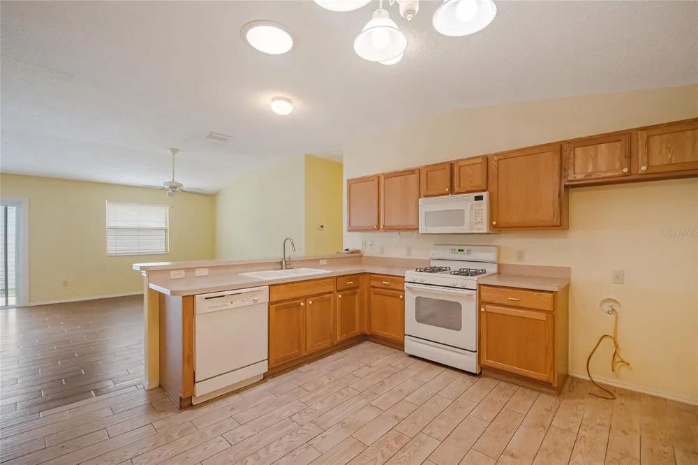 2454 SOUTHERN OAK STREET The Villages, FL 32162