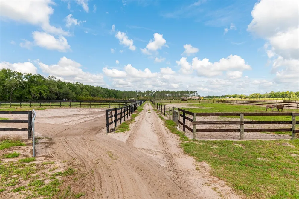 2009 SW 20TH STREET Bell, FL 32619