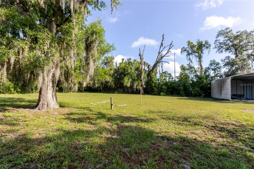 13203 BLISSFIELD Odessa, FL 33556
