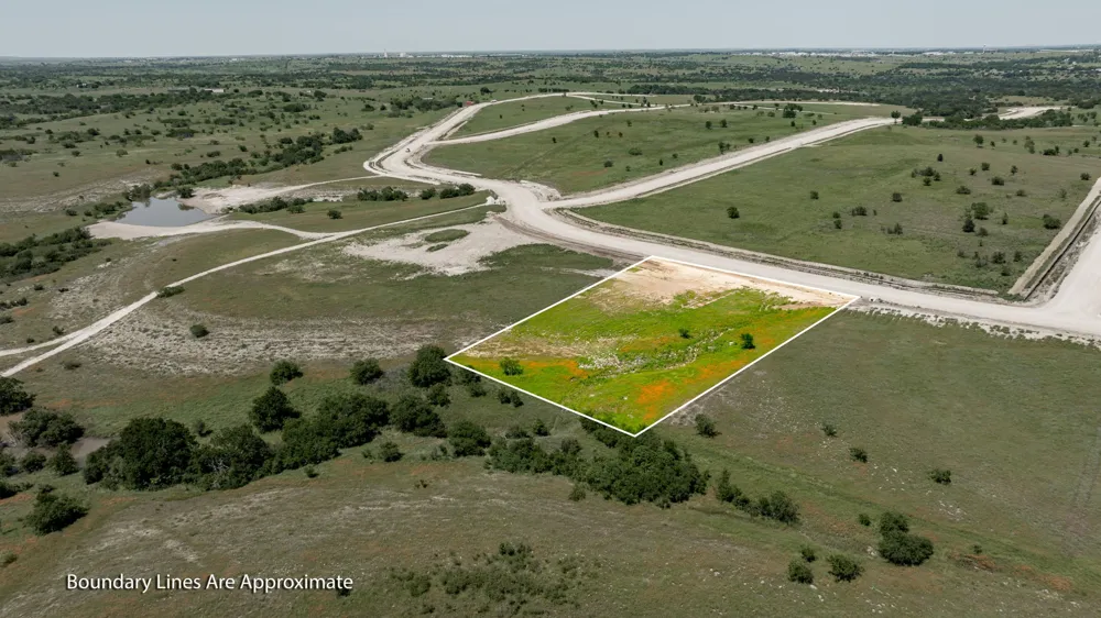 3004 Lucky Pepper Drive Cresson, TX 76035
