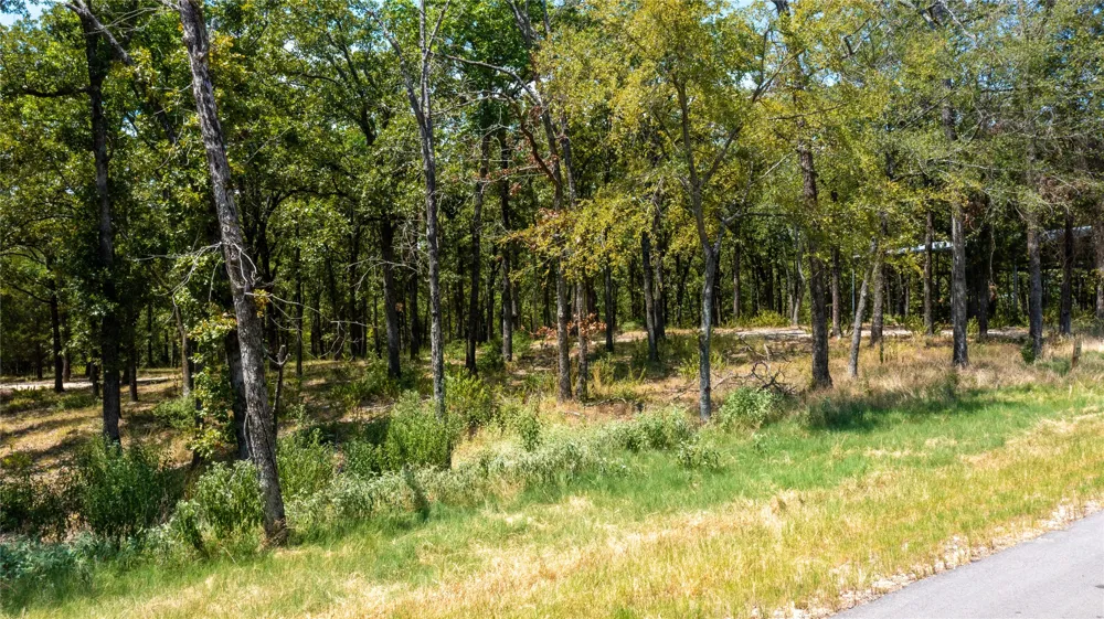 7321 Ranch Oaks Trail Eustace, TX 75124