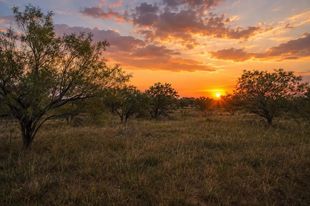 CR 107 Abilene, TX 79601