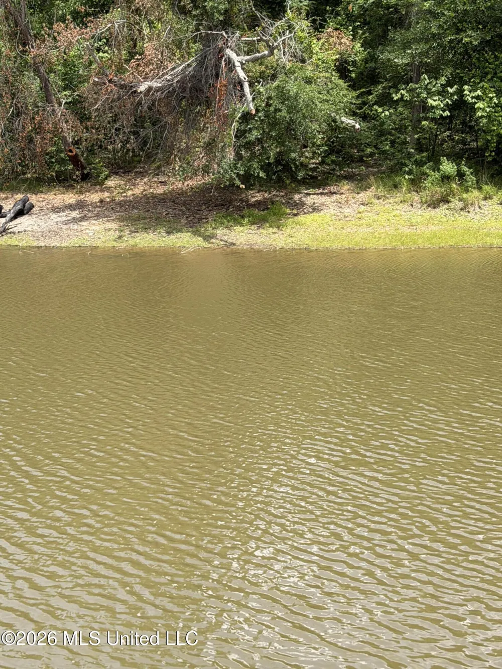 1022 Riverview Road Sardis, MS 38666