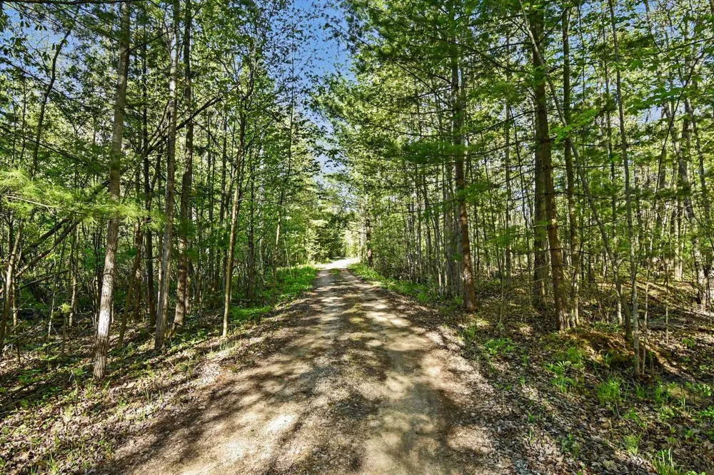2738 Lakeshore Drive Secord Township, MI 48624