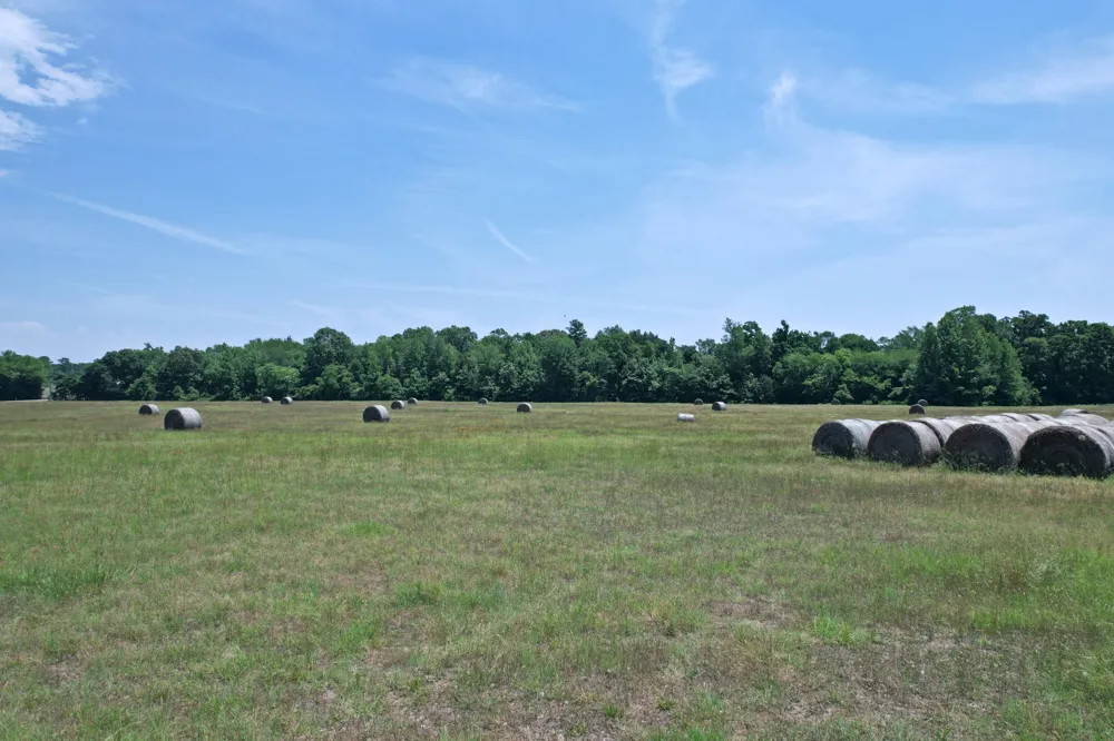 258 County Road 3199 Winnsboro, TX 75494