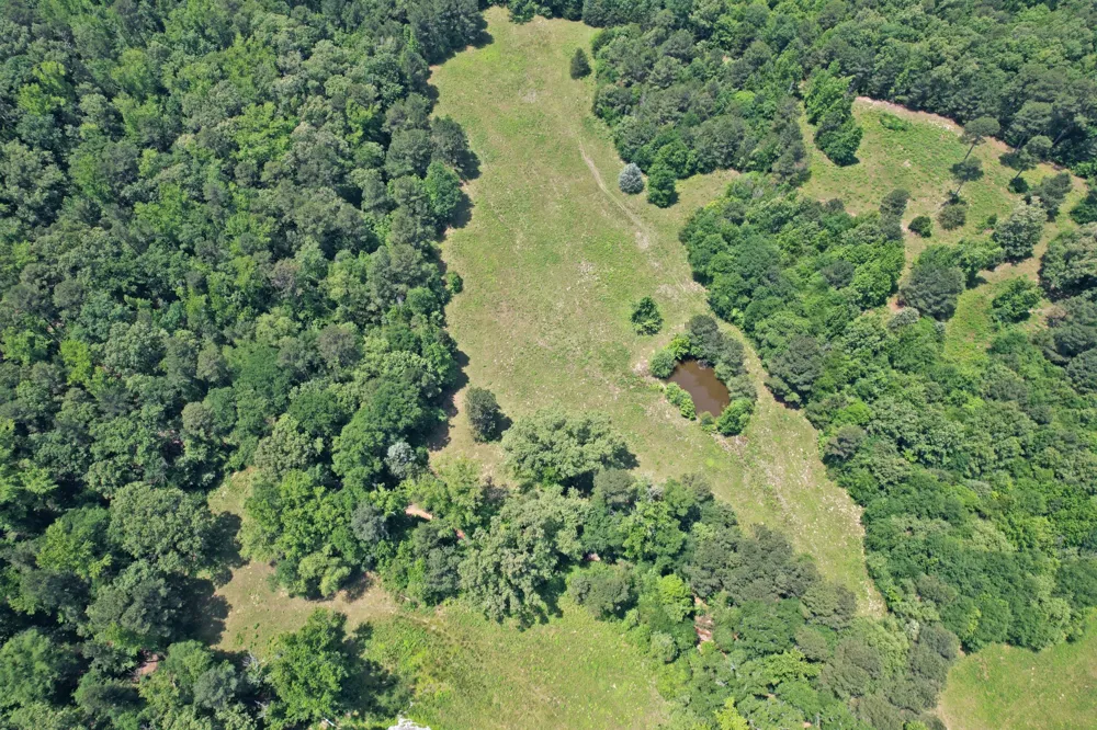 258 County Road 3199 Winnsboro, TX 75494