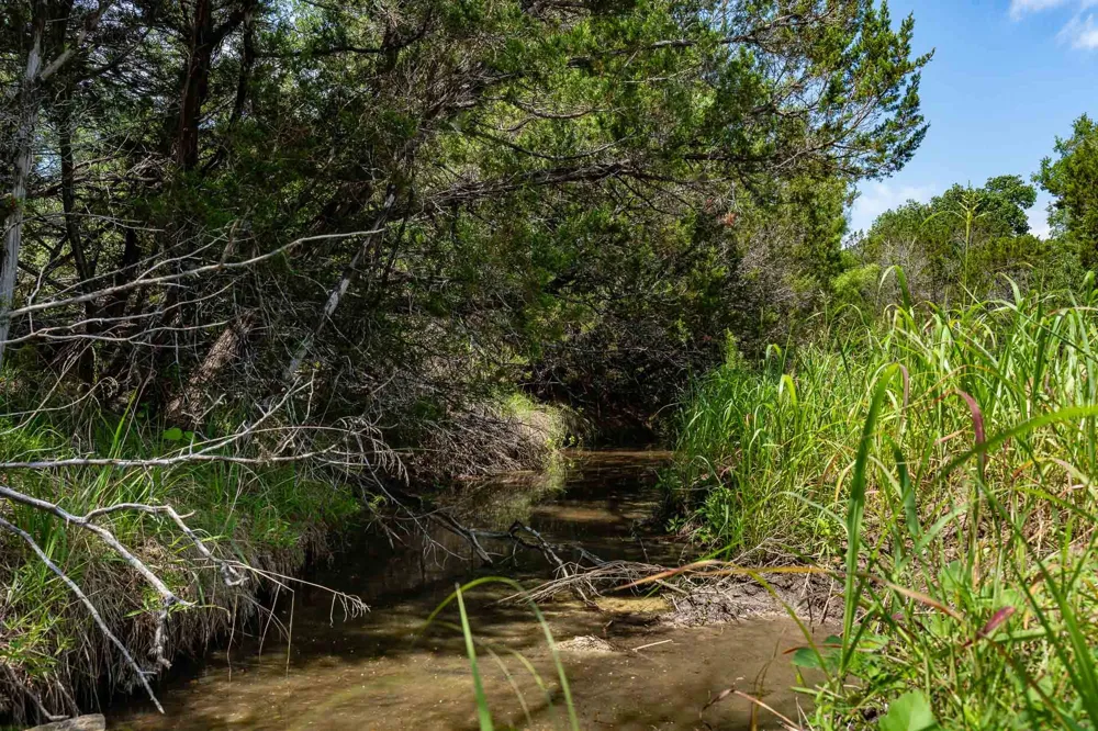 Fm 203 Glen Rose, TX 76043
