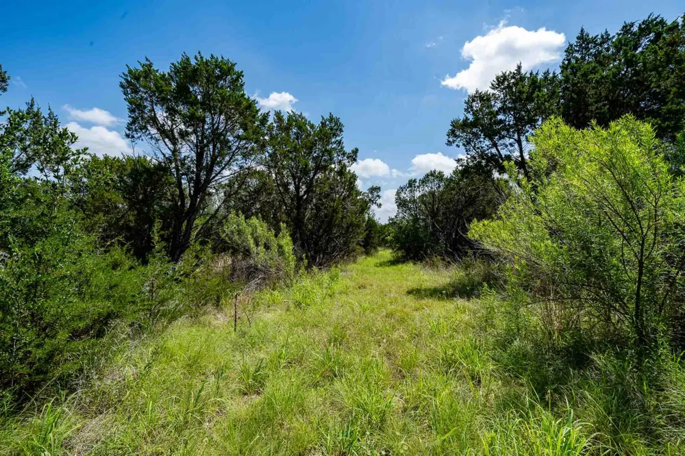 Fm 203 Glen Rose, TX 76043