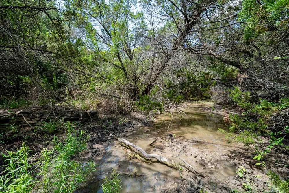 Fm 203 Glen Rose, TX 76043