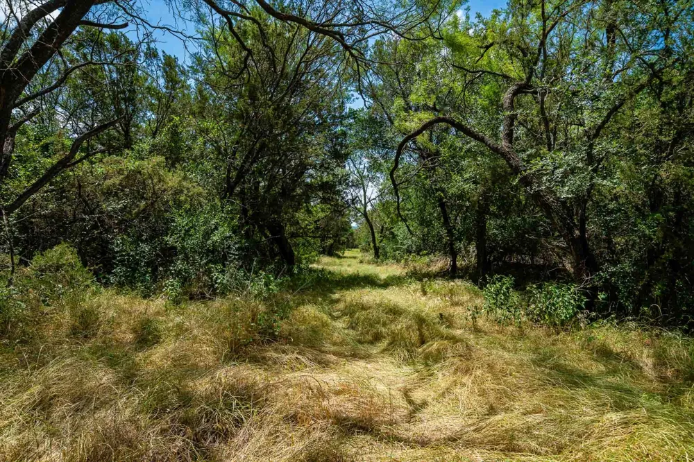 Fm 203 Glen Rose, TX 76043