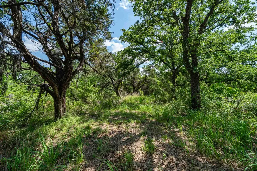 Fm 203 Glen Rose, TX 76043