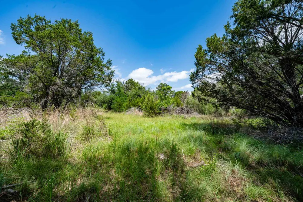 Fm 203 Glen Rose, TX 76043