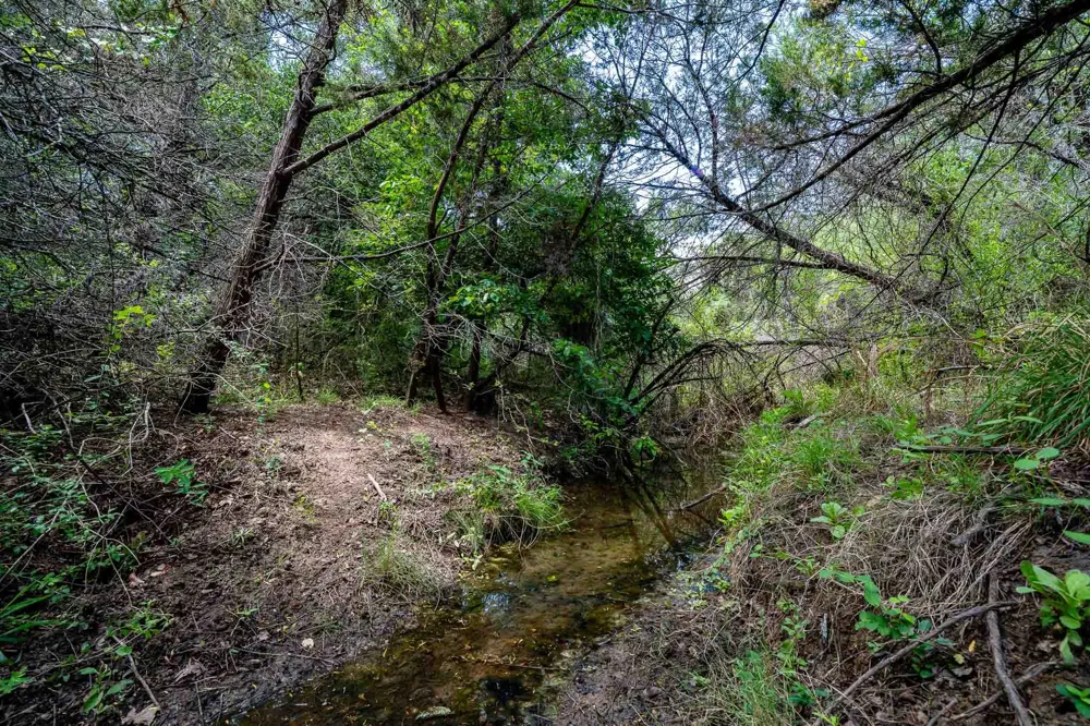 Fm 203 Glen Rose, TX 76043