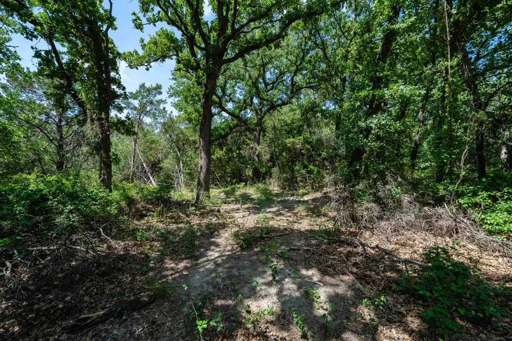 Fm 203 Glen Rose, TX 76043