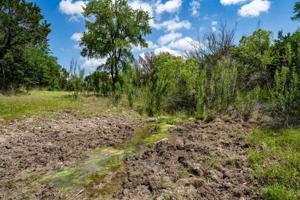 Fm 203 Glen Rose, TX 76043