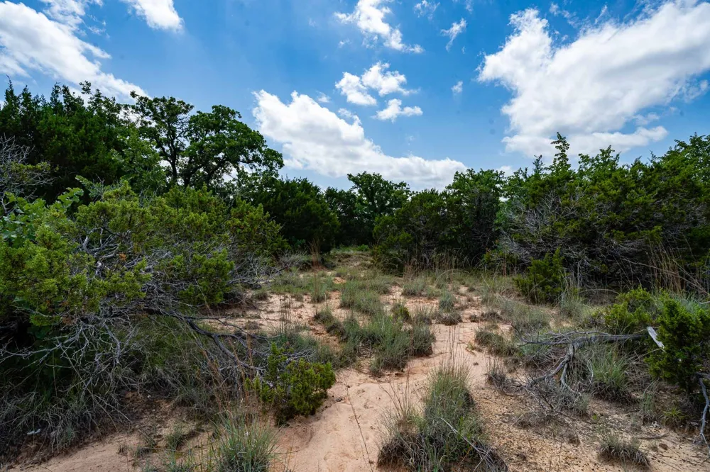 Fm 203 Glen Rose, TX 76043