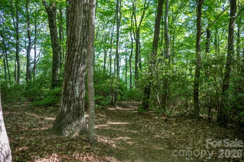 TM I 33 Toxaway Drive
