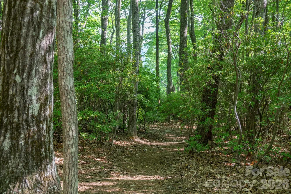TM I 33 Toxaway Drive Lake Toxaway, NC 28747