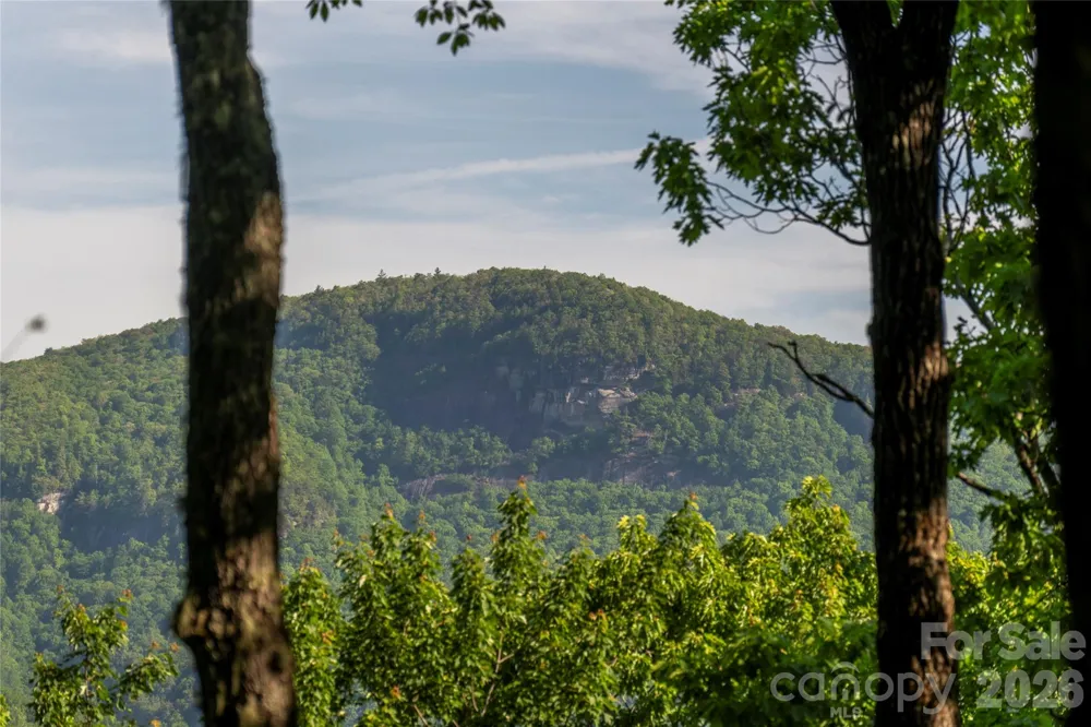 TM I 33 Toxaway Drive Lake Toxaway, NC 28747